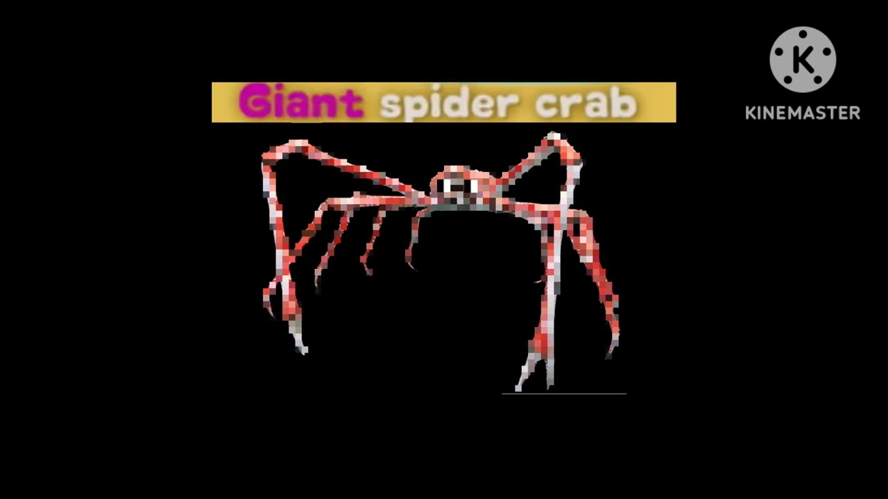 Crustaceans @TheKidsPictureShow