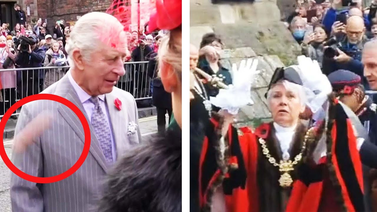 Protester Arrested for Allegedly Throwing Eggs at King Charles