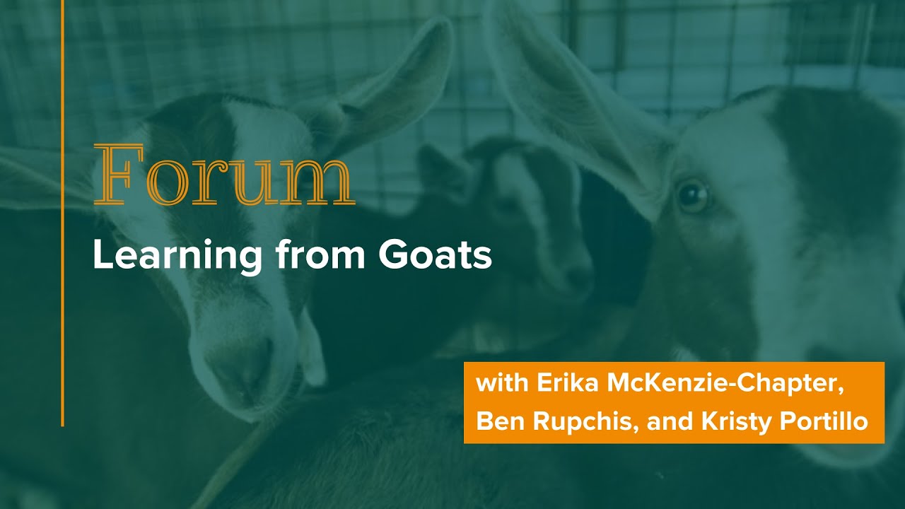 Forum: Learning from Goats