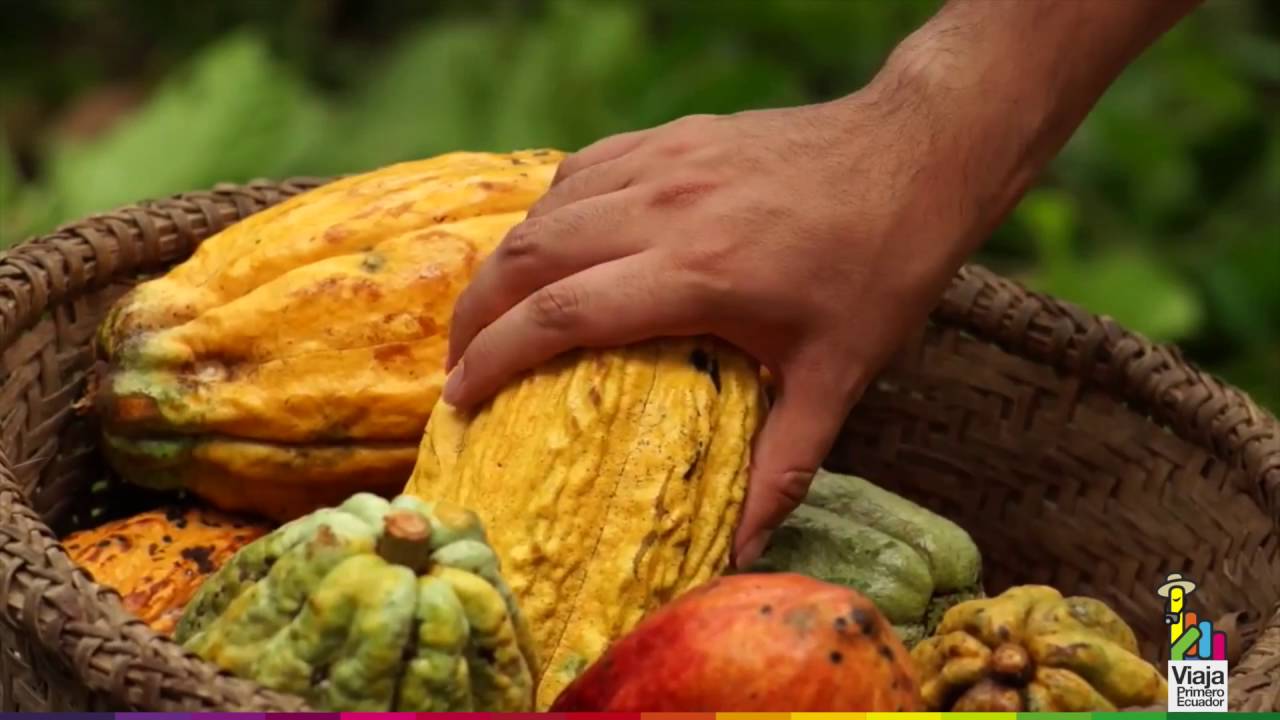 Video Tur&iacute;stico de la provincia de Napo