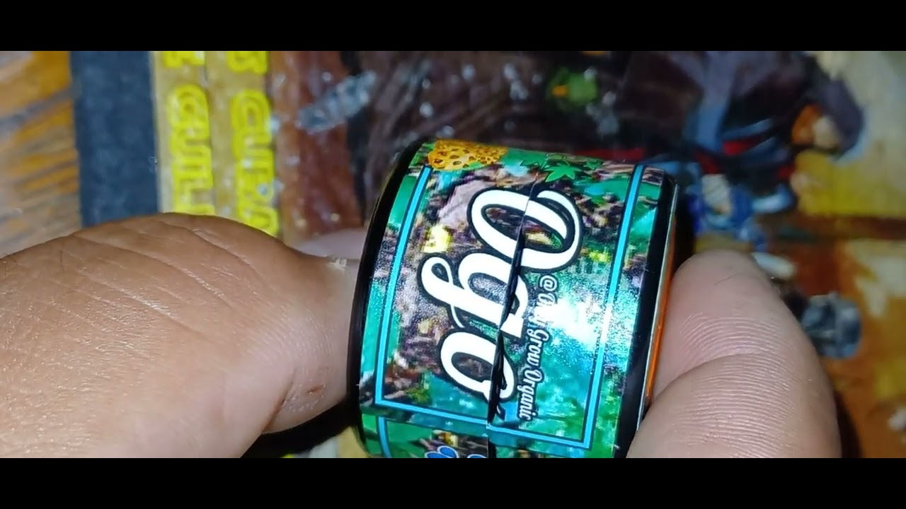 Tropaya by OGO was amazing...