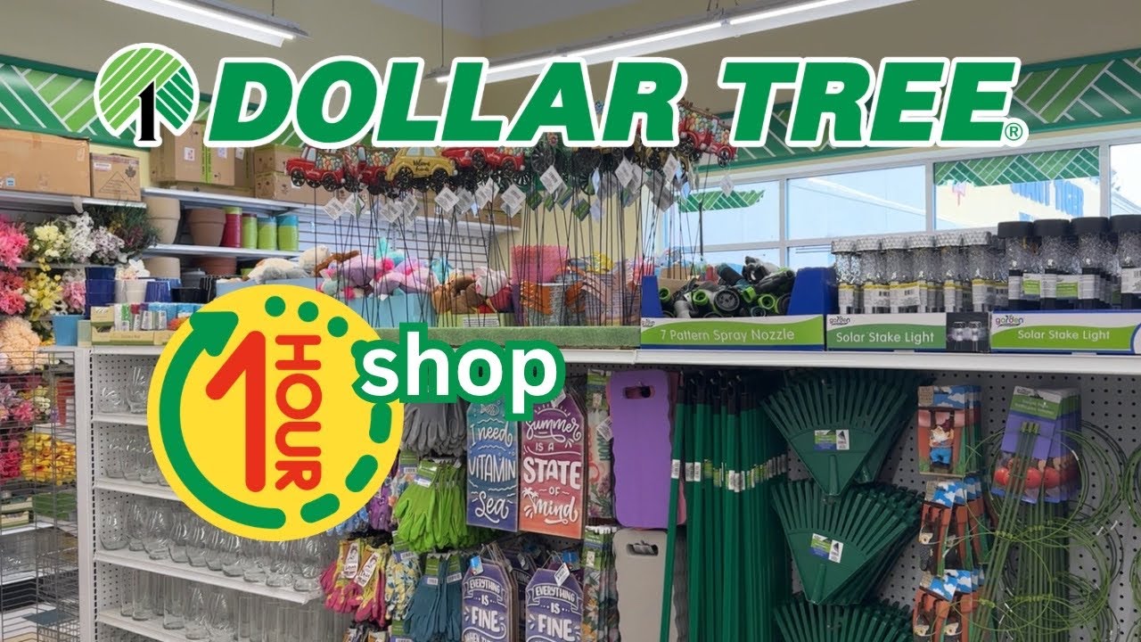 1 Hour Dollar Tree Shop with me  *compilation