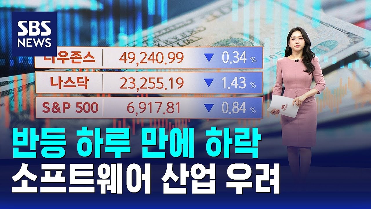 반등 하루 만에 하락…소프트웨어 산업 우려 / SBS / 뉴욕증시