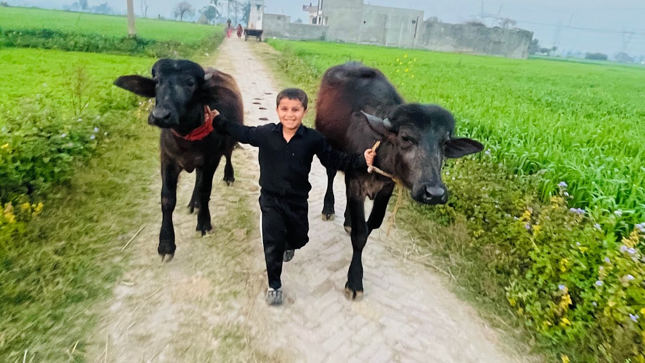 Aaj Phir Lagai Nonu Ne race Phir Kya hua Dekho?😲