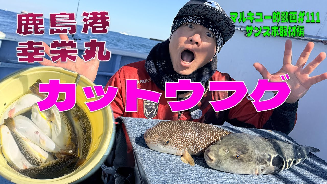 トラフグ？鹿島港 幸栄丸 カットウフグ＃111マルキユー的動画 サンスポ取材編