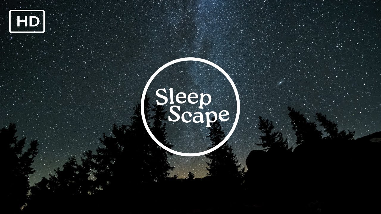 Stargazing in the Wild &bull; Original Music by SleepScape