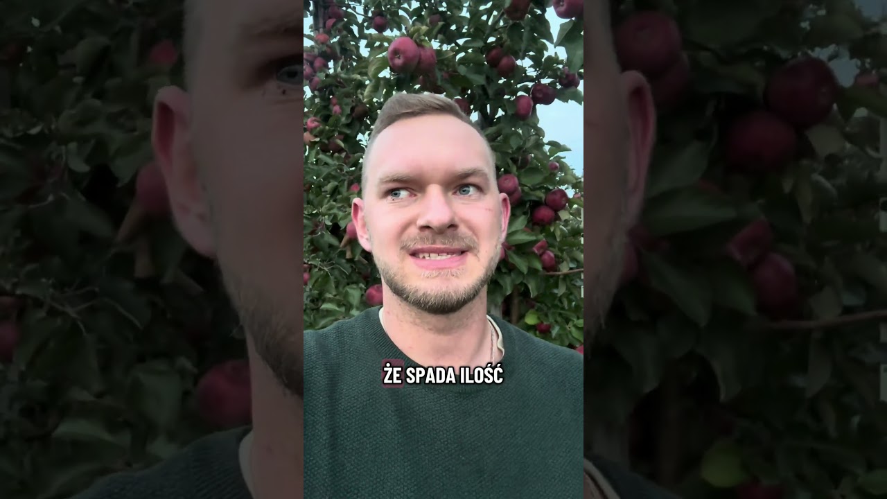 Konsumpcja jabłek w Polsce spada - jakość jablek w supermarketach  #jabłka #sadownictwo #przemysł