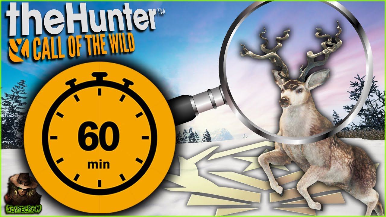 We MUST Get The Great One Mule Deer In 60 Minutes OR ELSE! Call of the wild