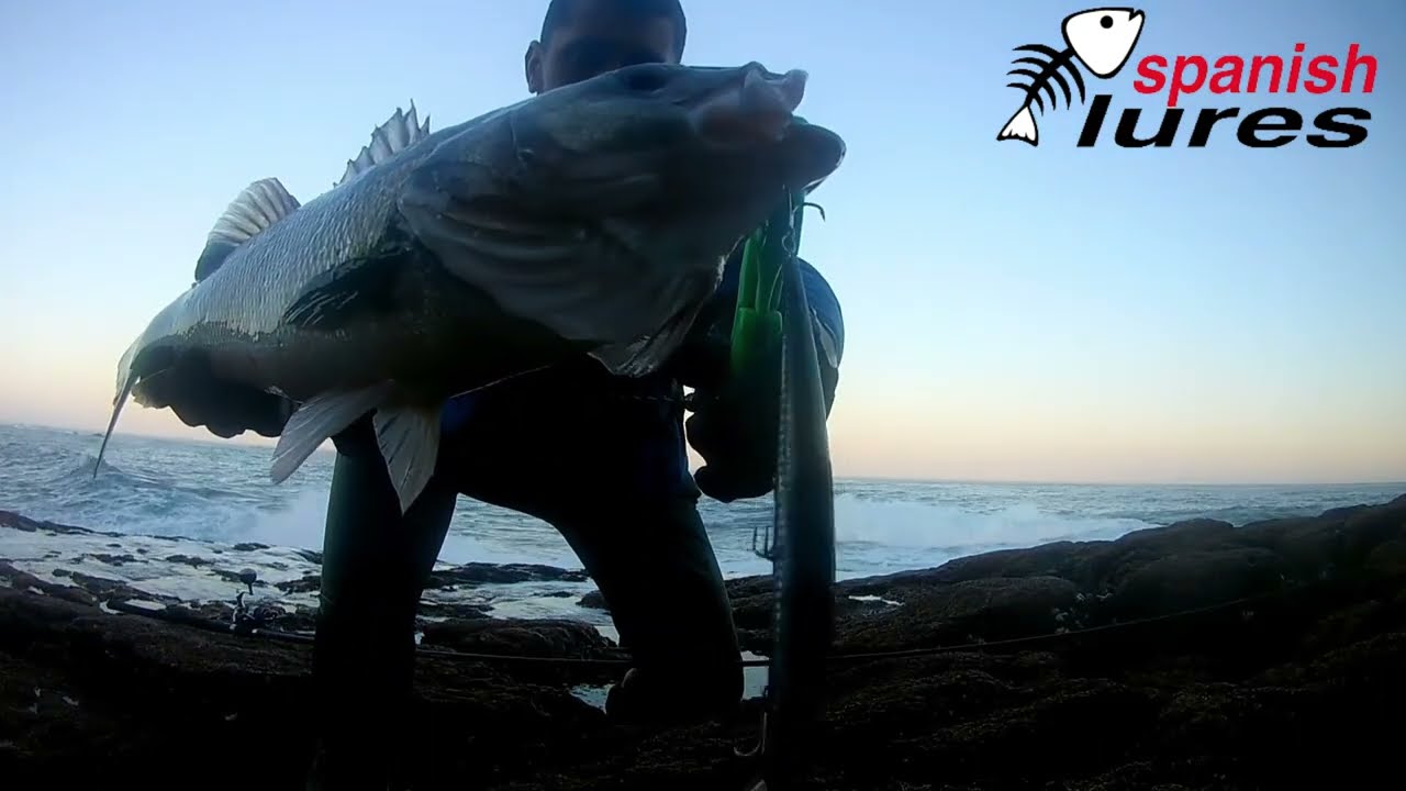 Robalos spinning Julho 2022🎣 Costa Alentejana Portugal🌊 SPANISH LURES ❤🖤