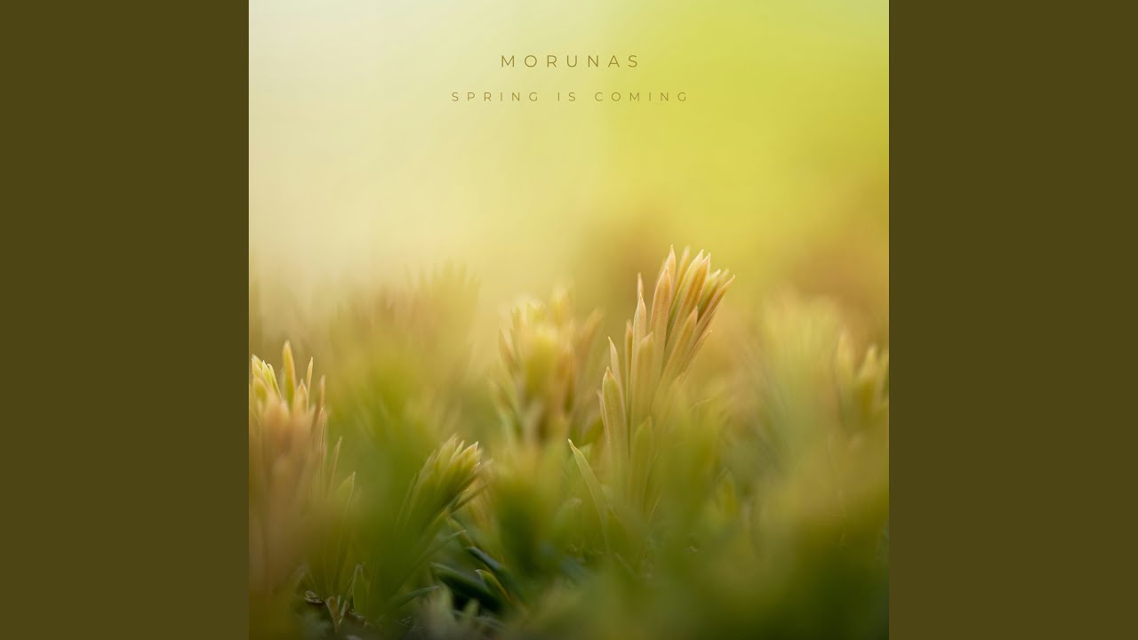 Spring is Coming