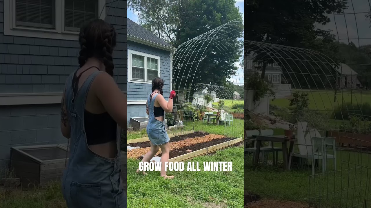 Winter Weather Won&rsquo;t Stop Me From Gardening #hoophouse #wintergarden #garden #gardeningvideos