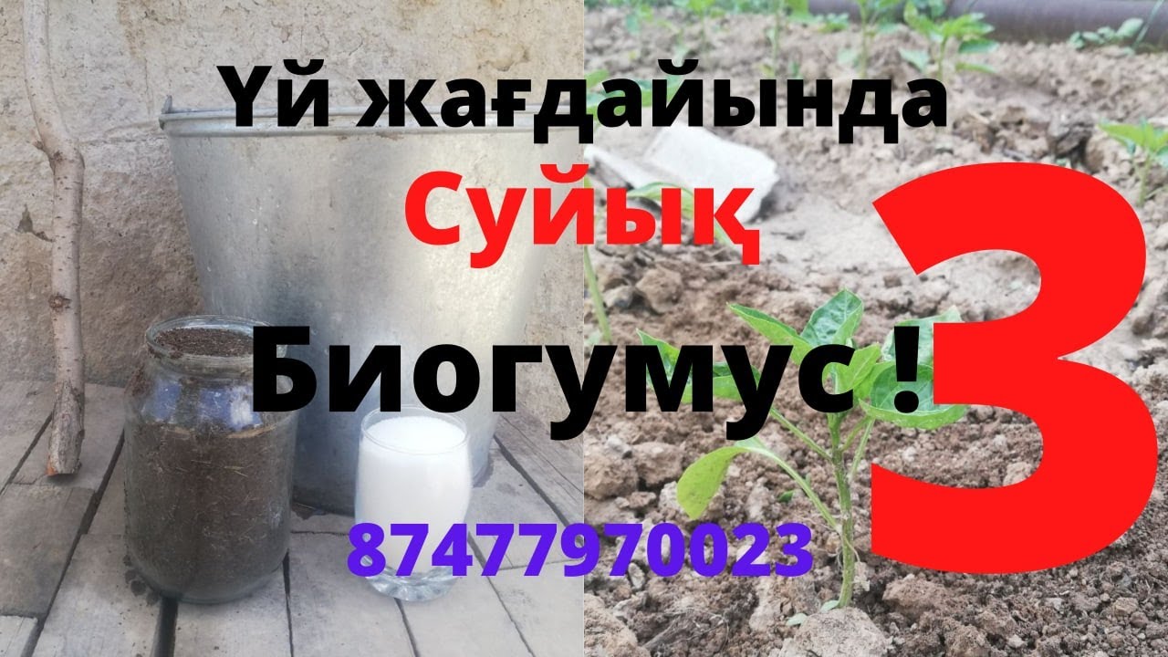 Суйық биогумус 3. Жидкий биогумус механическим путем!