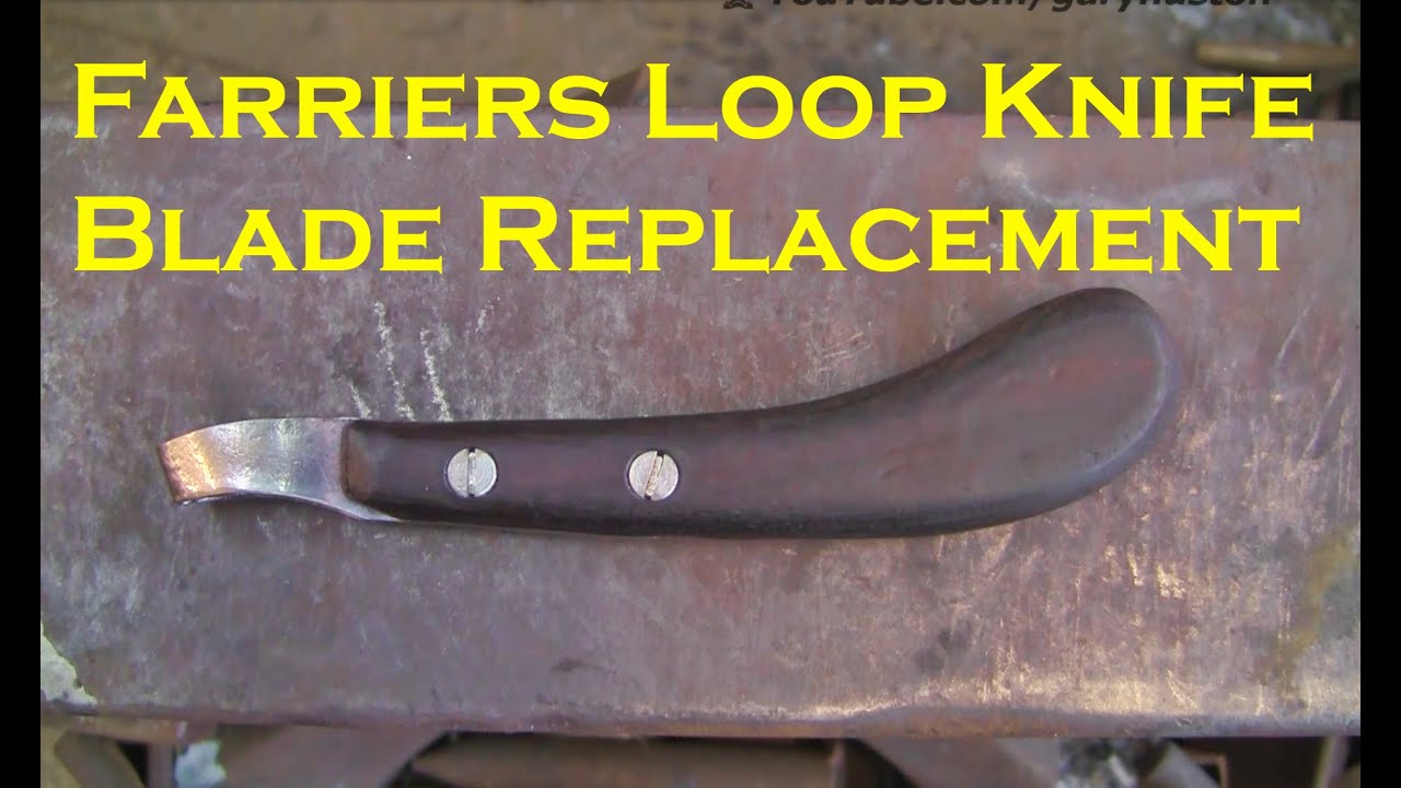 Farriers Loop Knife Blade Replacement