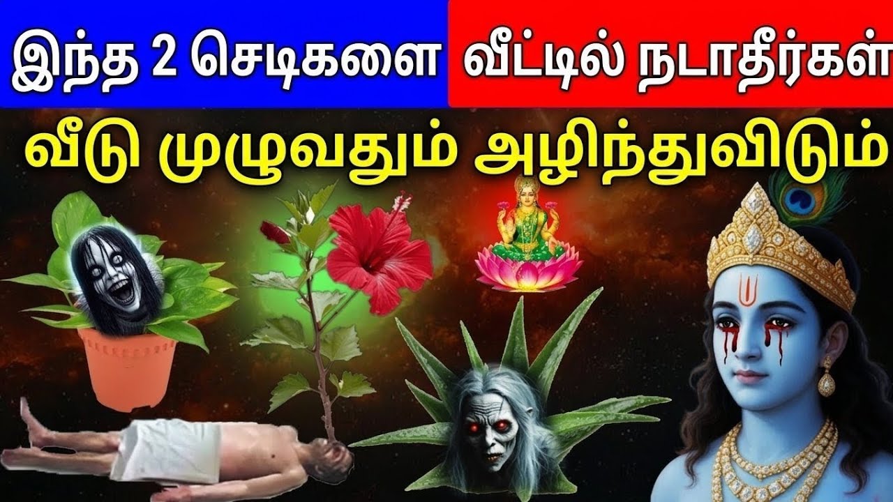 இந்த 2 செடிகளை வீட்டில் நடாதீர்கள். வீடு முழுவதும் அழிந்துவிடும்.