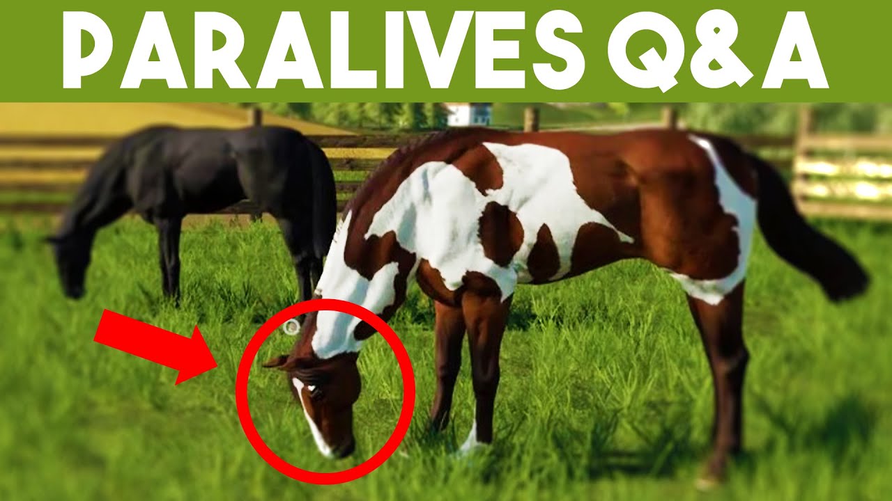 PARALIVES: Horse Breeding/Activities, Pet Jobs, Custody, Multi-Tasking, Ladders, & More