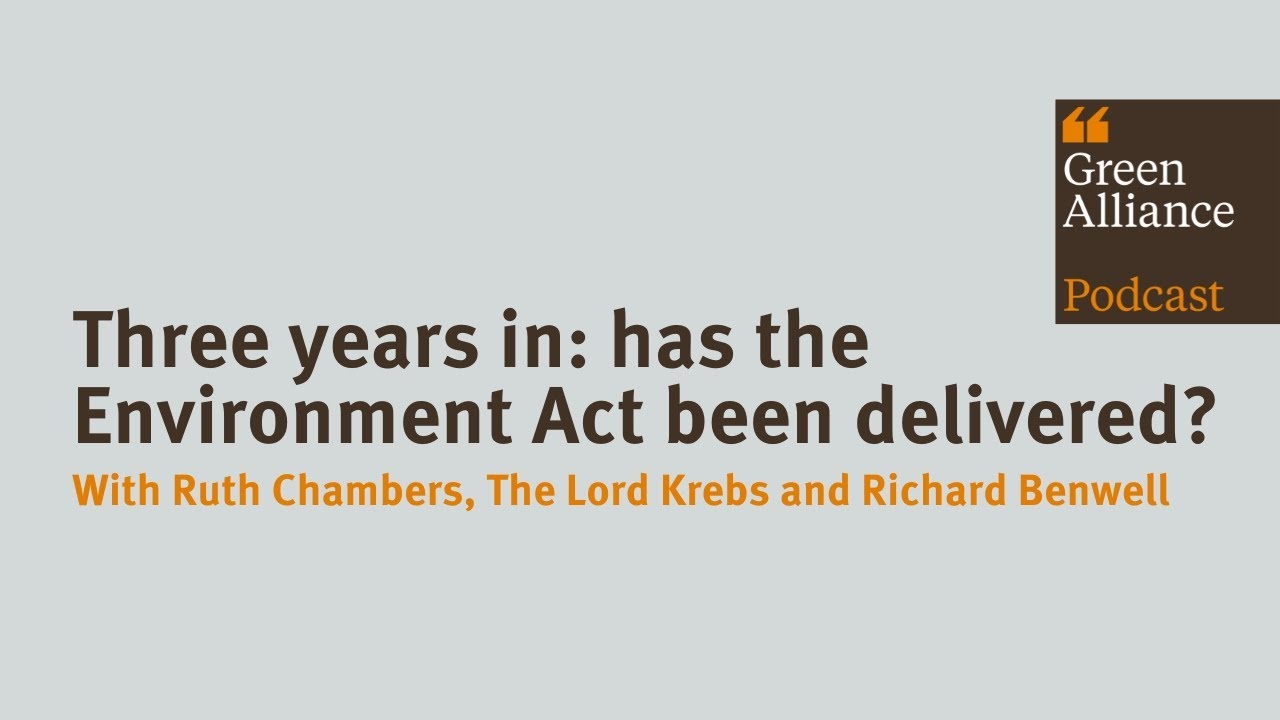 Three years in: has the Environment Act been delivered?