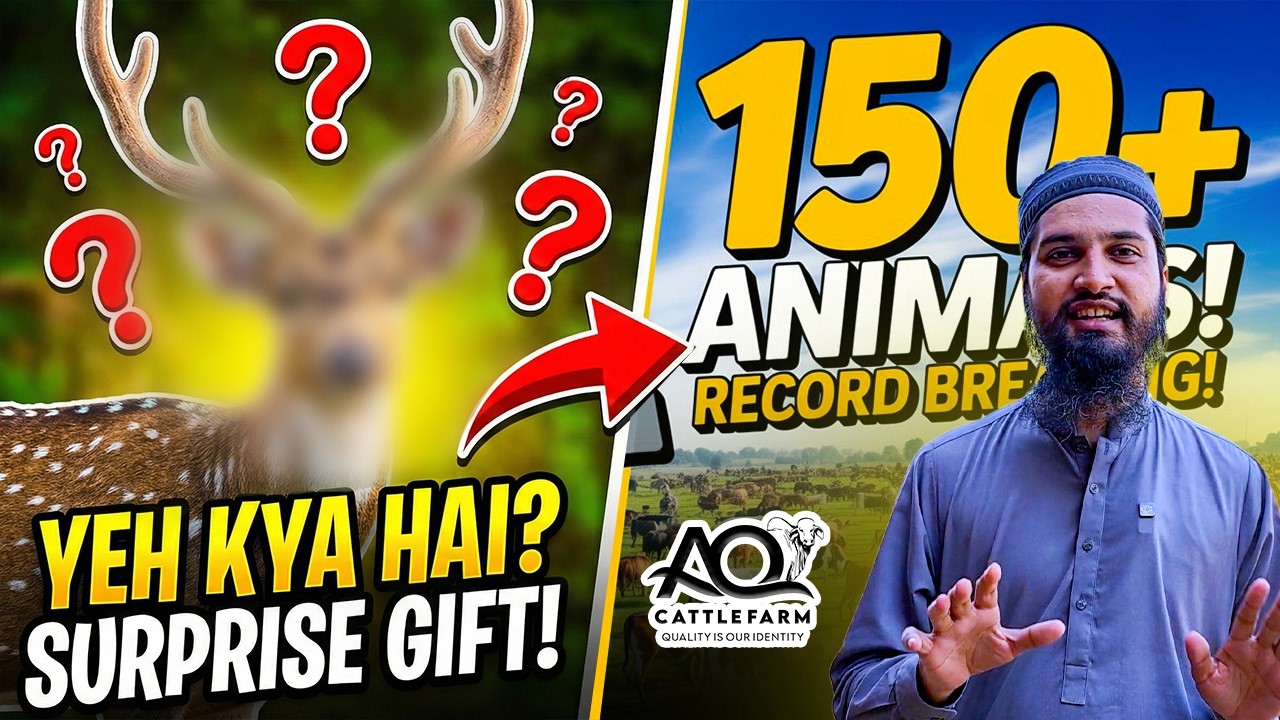 150+ Animals Completed with Surprising New Species 😍 AQ Cattle Farm 
