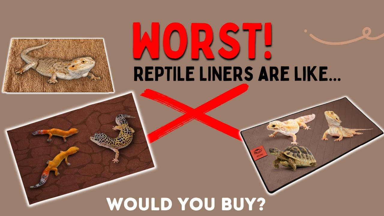 Which Reptile Carpet is BEST / WORST - Reptile Carpet Comparison - Water Test