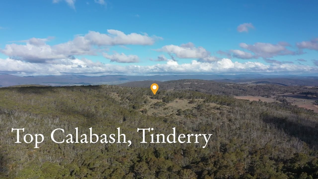 Lot 18 & 19 Calabash Road, Tinderry  |   Huge 650 Acre Wildlife and Wilderness Property