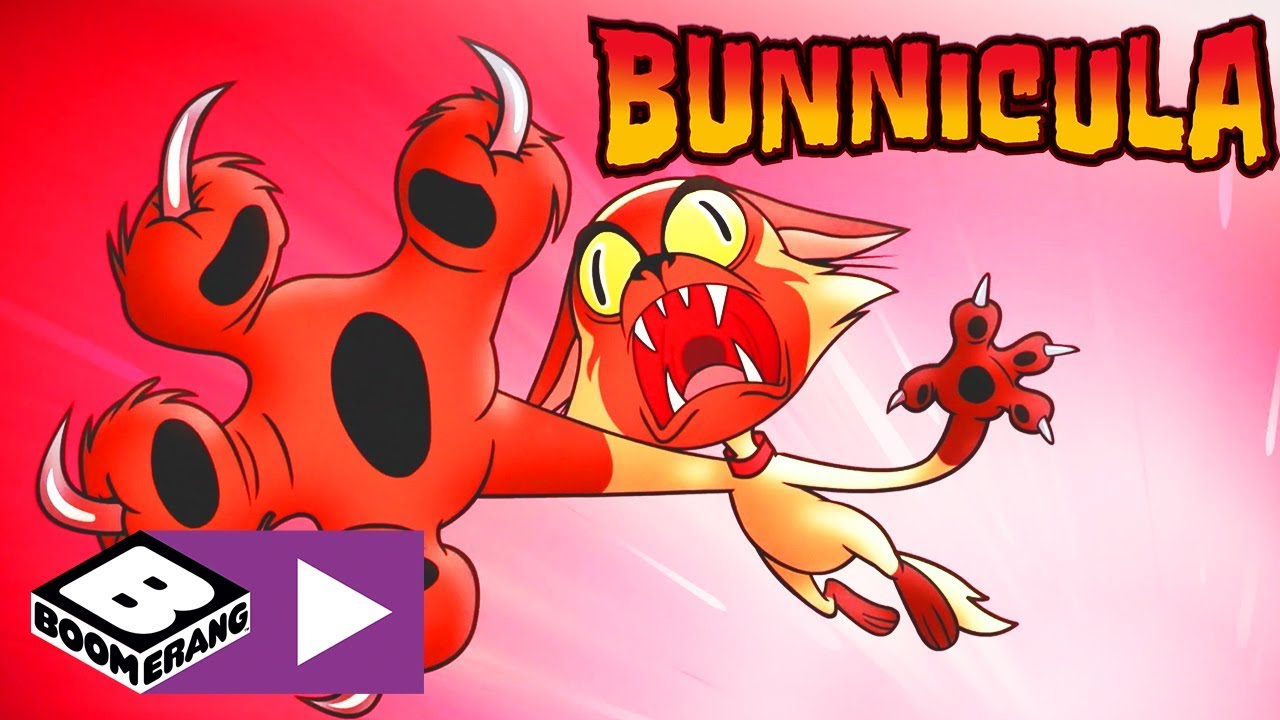 Bunnicula | Chester ist verflucht | Cartoonito