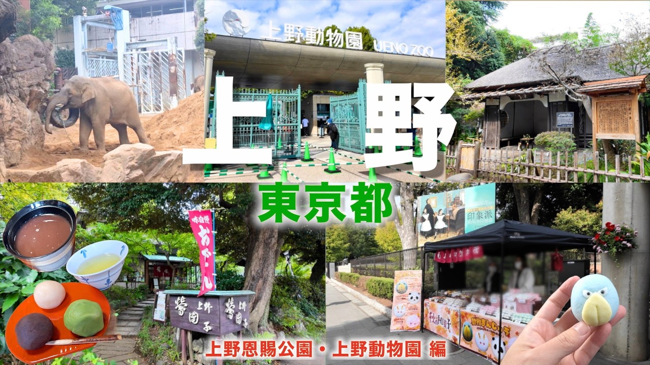 【徒歩旅・上野観光・グルメ2選・自己紹介】上野公園や上野動物園の歴史に触れながら観光！！老舗の甘味処や癒される動物など盛り沢山！！そして唐突な自己紹介。