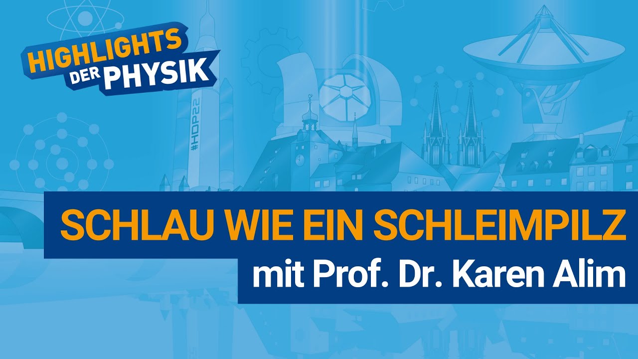 Schlau wie ein Schleimpilz
