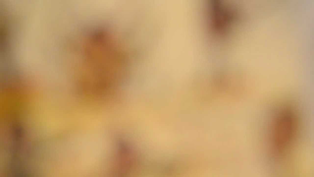 bandiera bianca remix
