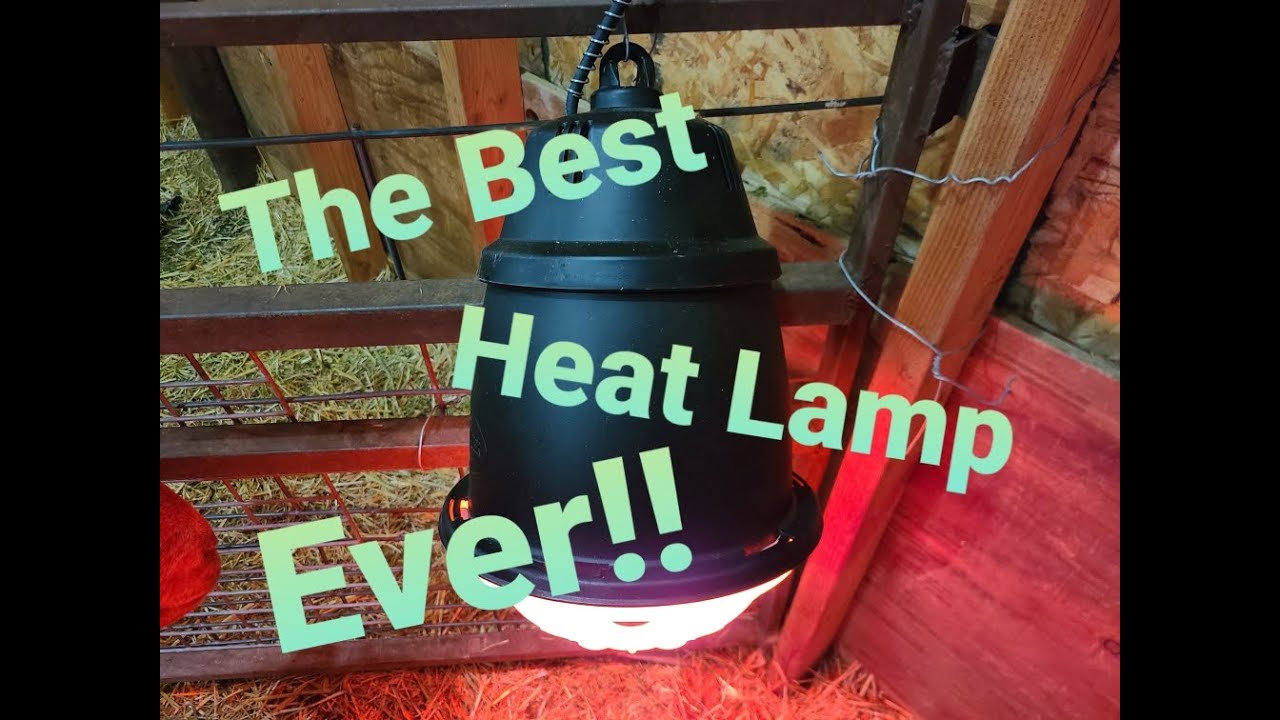 The Best Heat Lamp On The Market (In My Opinion)