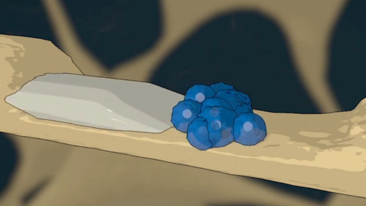 Osteoporosis Animation: Balanced vs. Unbalanced Bone Remodeling Explained