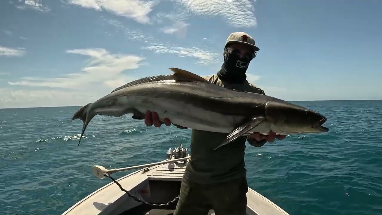 I Did Not Have The Gear For These Fish !