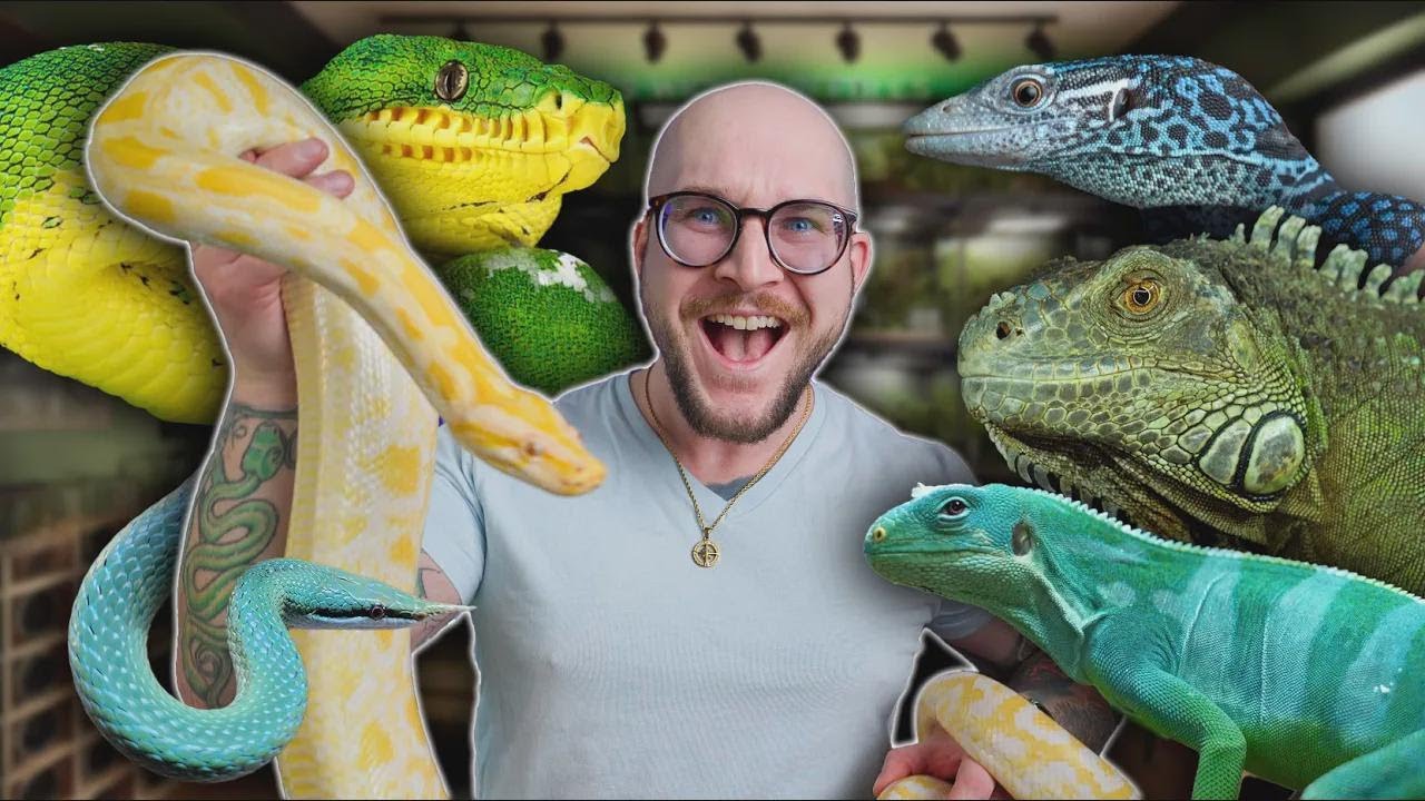 ¡Mi cuarto de reptiles vale más de $25,000!
