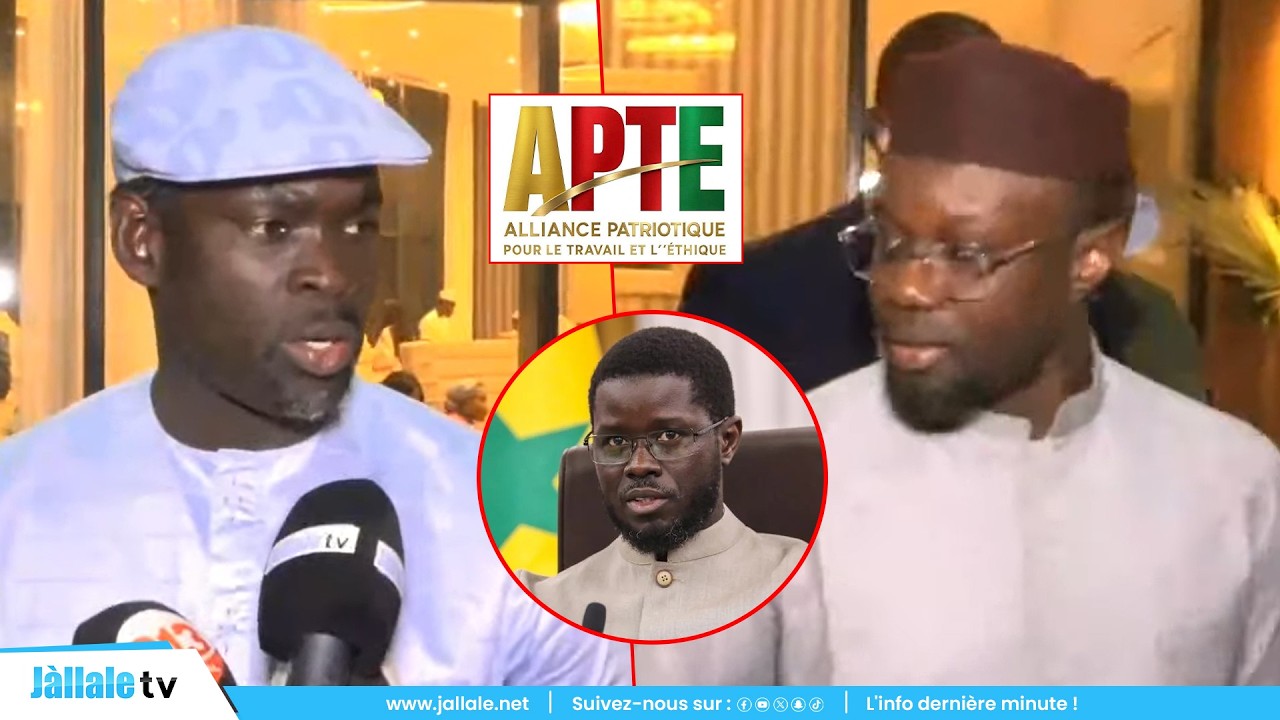 « Sonko li mu wax dafa leer… » : Me Tall révèle les coulisses de la rencontre