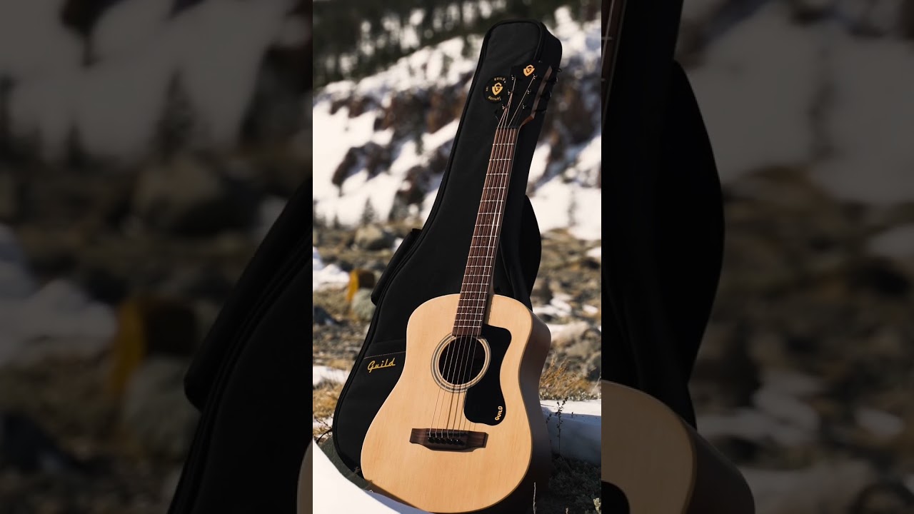 Introducing the Guild Travel Spruce