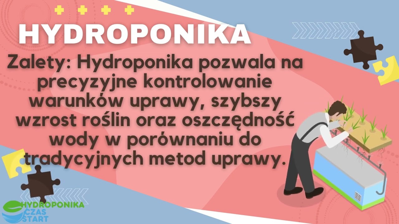Hydroponika Czas Start - Hydroponika  a semihydroponika