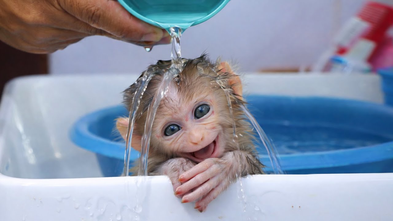 My Baby Love and Need Sister And Papa