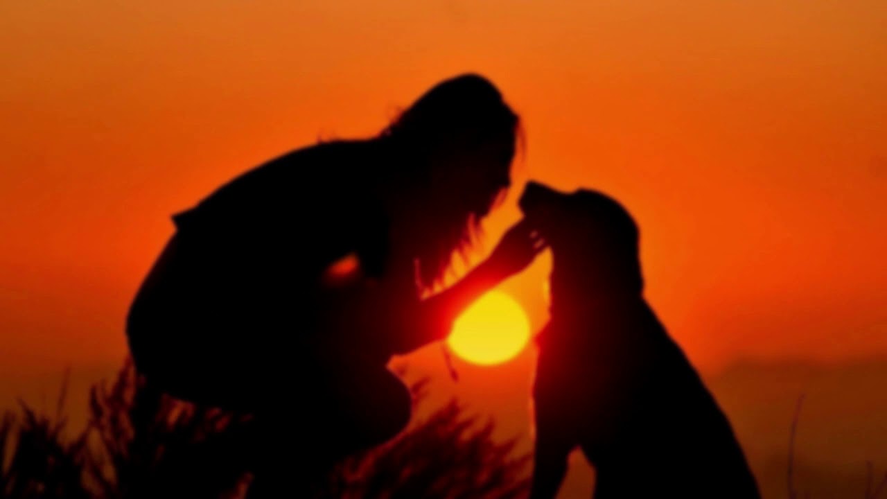 Seven Money Saving Tips for Affordable Pet Care