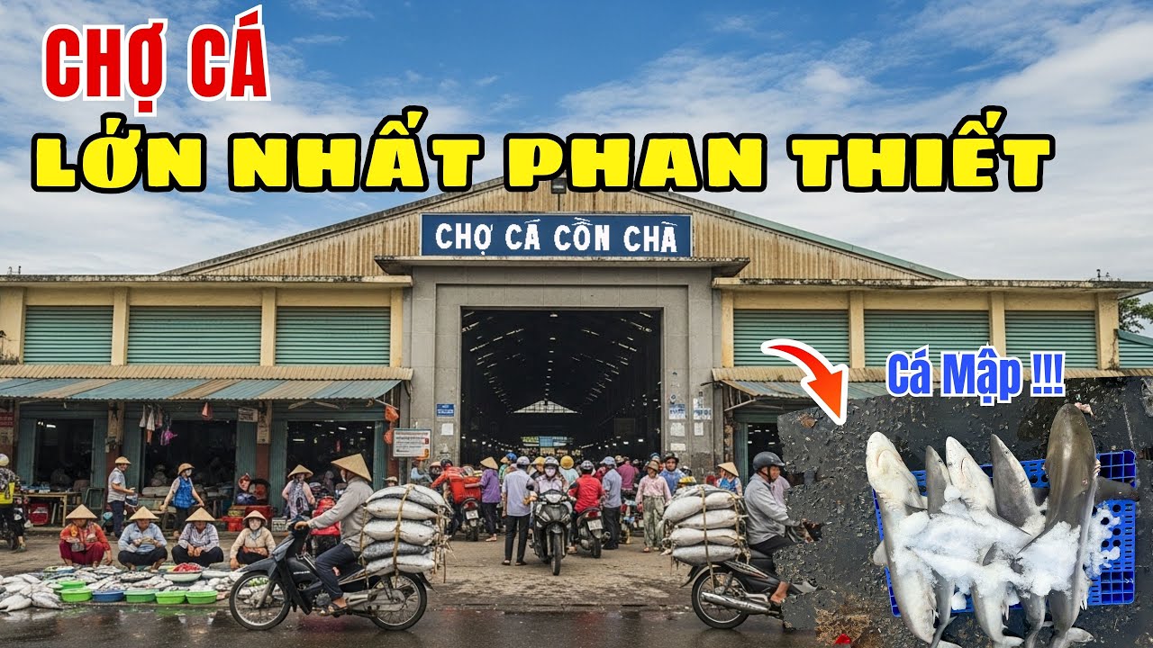 Khám phá Chợ Cá Cồn Chà : Trung tâm hải sản lớn nhất Phan Thiết có gì đặc biệt?