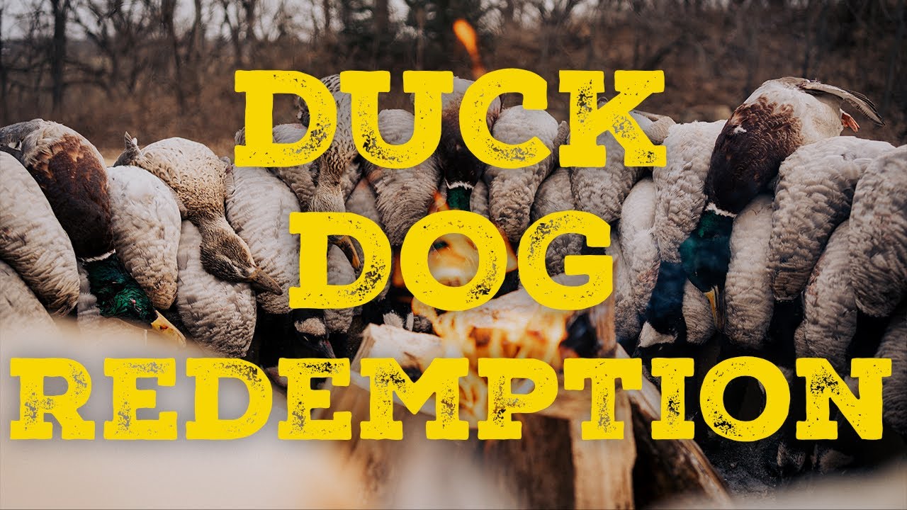 Duck Dog Redemption | CGTV
