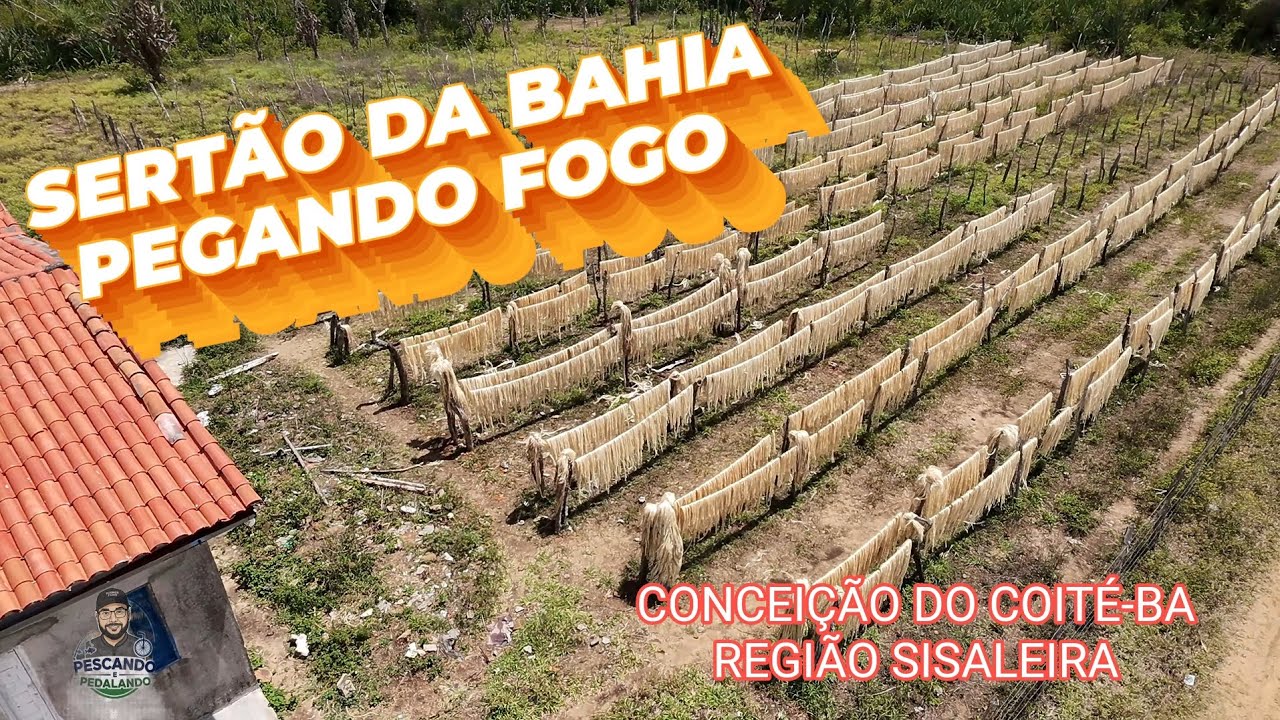 SERTÃO DA BAHIA PEGANDO FOGO