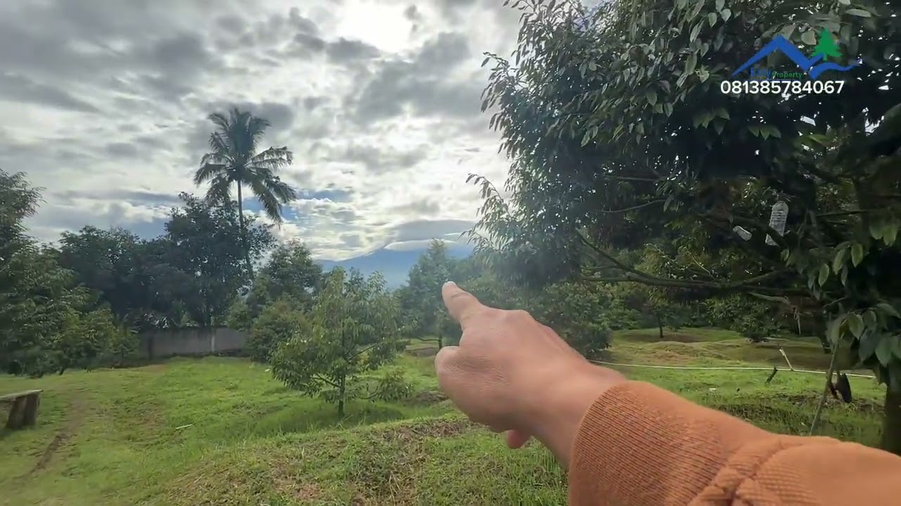 DIJUAL TANAH & RUMAH KEBUN DURIAN |CARINGIN CIGOMBONG BOGOR (HARGA 650 ( PER METER) NEGO