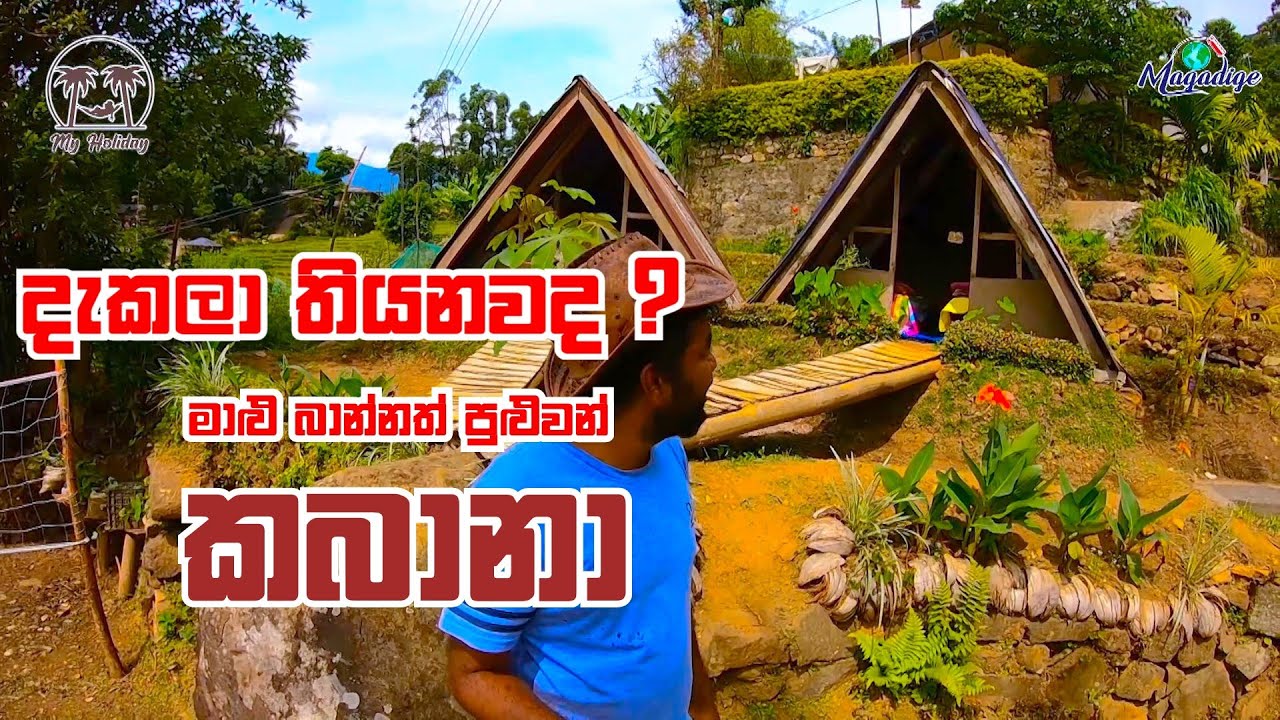 මාළු බාන්නත් පුළුවන් සුපිරිම ලී කබානා එක්ක රැයක් ඉමුද ? | Hotel review | My Holiday