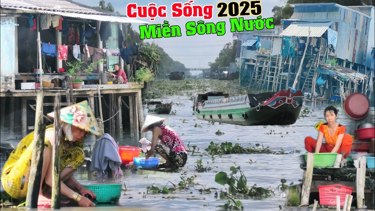 Cuộc sống miền s&ocirc;ng nước cảnh nh&agrave; tr&ecirc;n s&ocirc;ng m&ugrave;a nước 2025