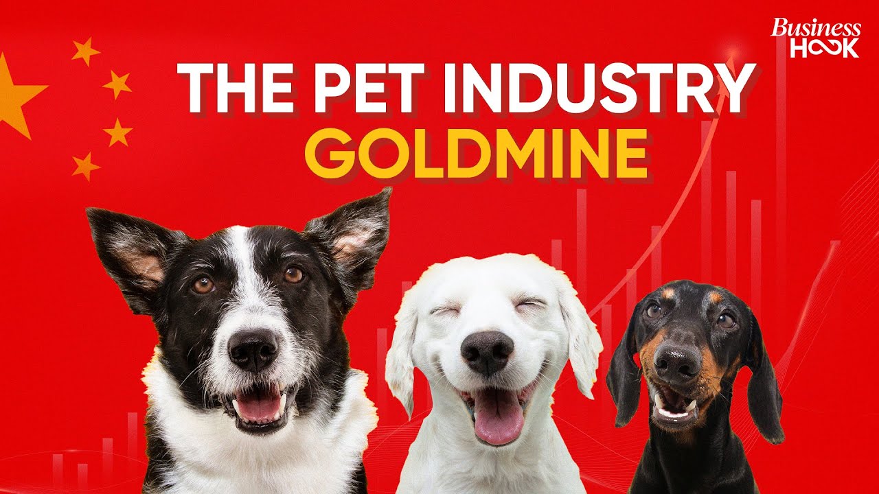 China&rsquo;s Pet Industry Boom: $49 Billion Opportunity by 2030 | Explained