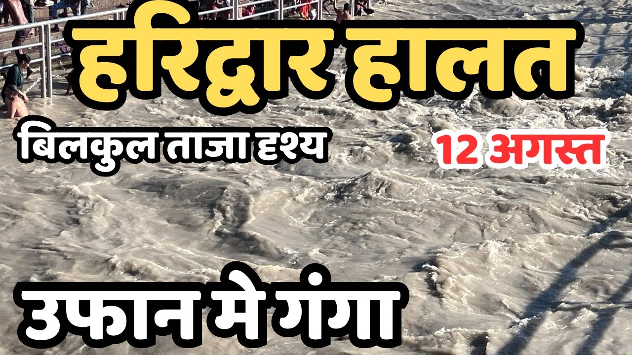 हरिद्वार खाली हो रहा | पहाड़ो मे भयंकर बारिश, रौद्र मे रूप गंगा | Haridwar live , haridwar flood?
