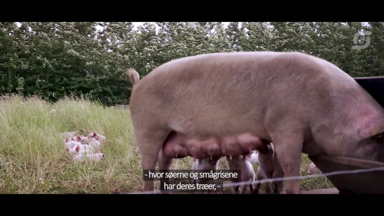 Årets økohåndværker 2018 Bertel Hestbjerg