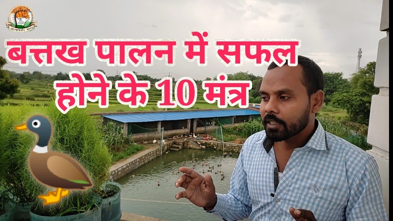 बत्तख पालन में सफल होने के 10 मंत्र ||  Duck Farming In India