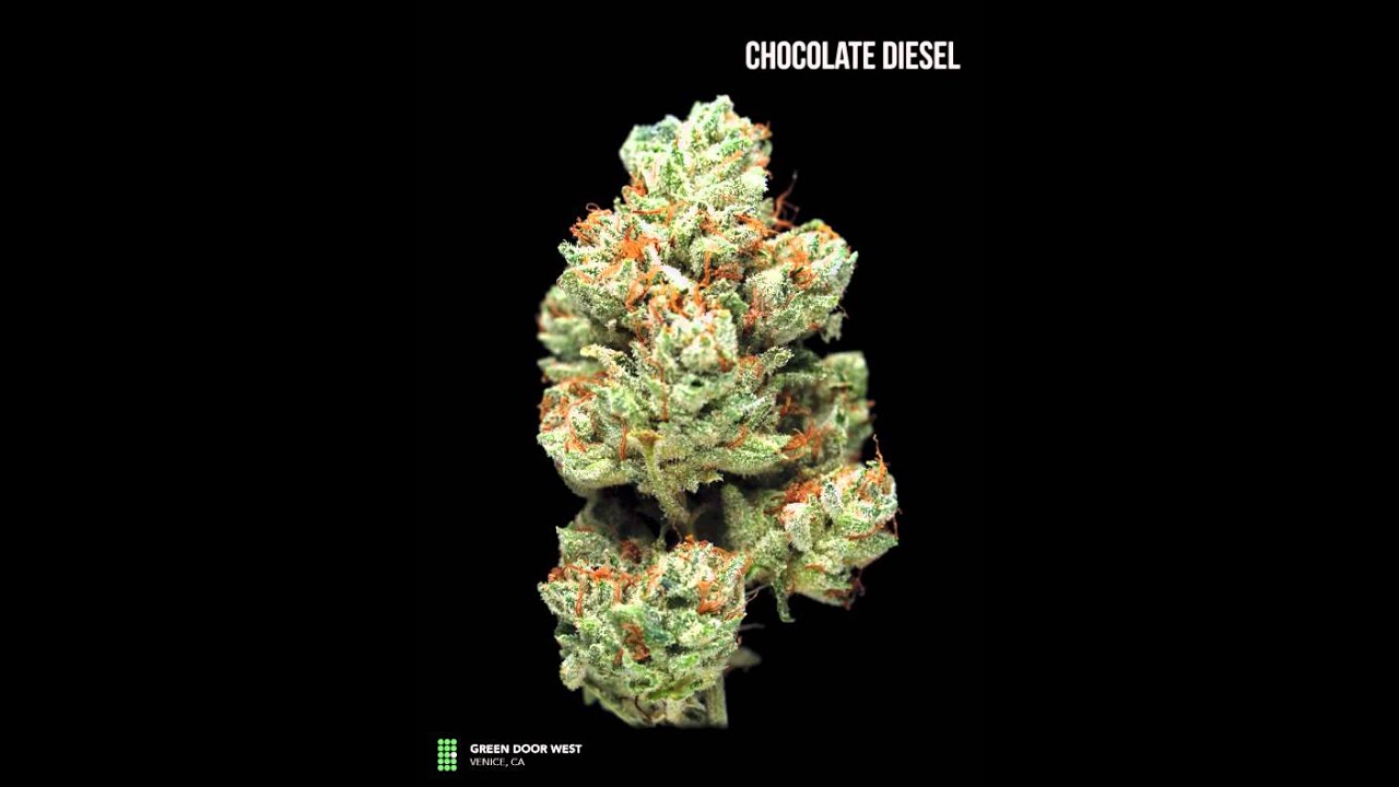 Chocolate Diesel 360