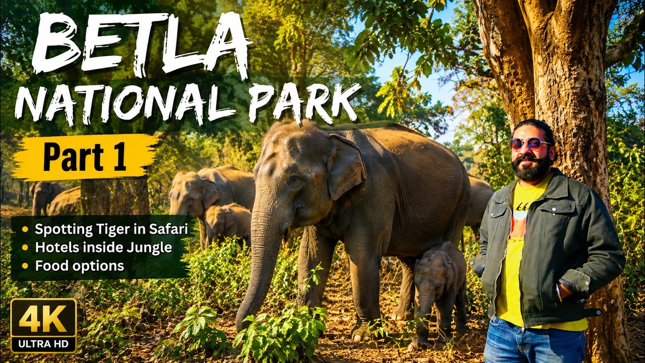 Tiger spotting in BETLA National Park - Jungle wildlife Safari - Betla Guesthouse , Palamu Jharkhand