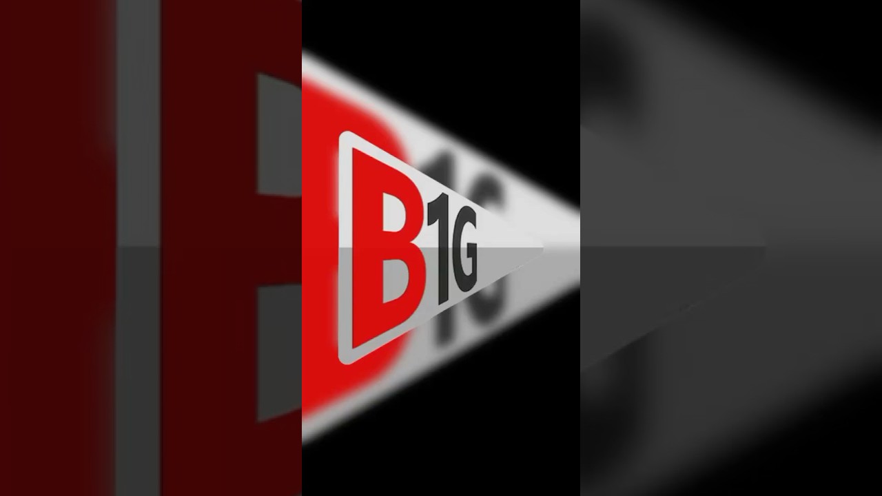 Operating manual for the B1G IPTV Reseller Panel