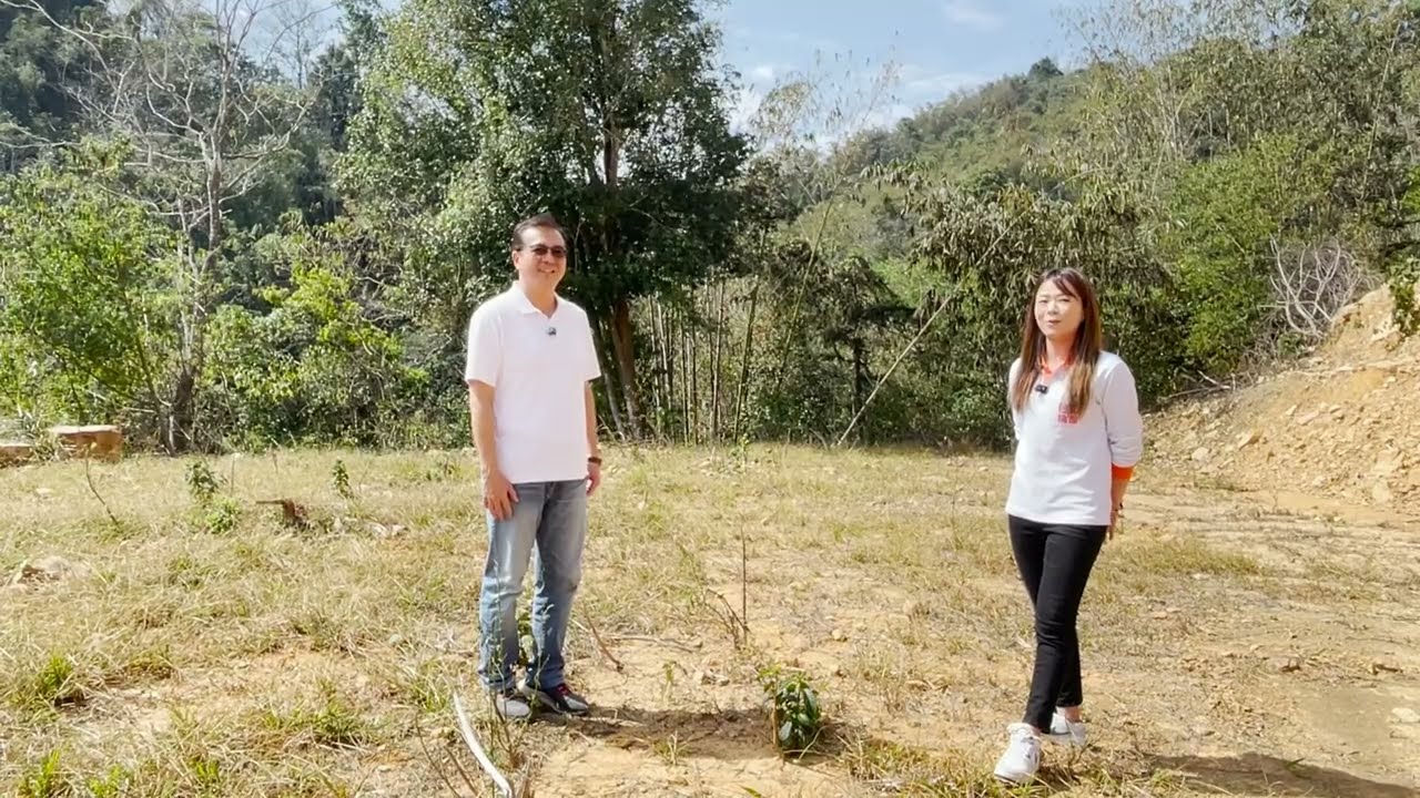 (651)480萬買南投埔里鎮土地1796坪桃米景觀大農地附水電#透天 #8bit #別墅#別墅豪宅#大樓 #華廈 #home #台中豪宅 #小木屋 #台中市#農舍#店面#南投縣#埔里鎮